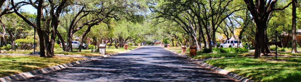 Castle Hills Neighborhood in Carrollton