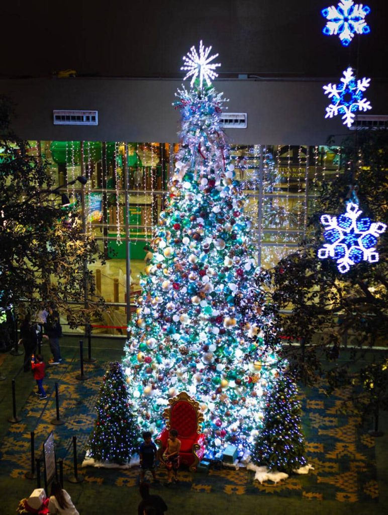 Christmas Light Installation Duncanville 3