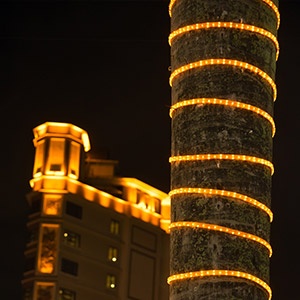 Rope Lights Fort Worth 2